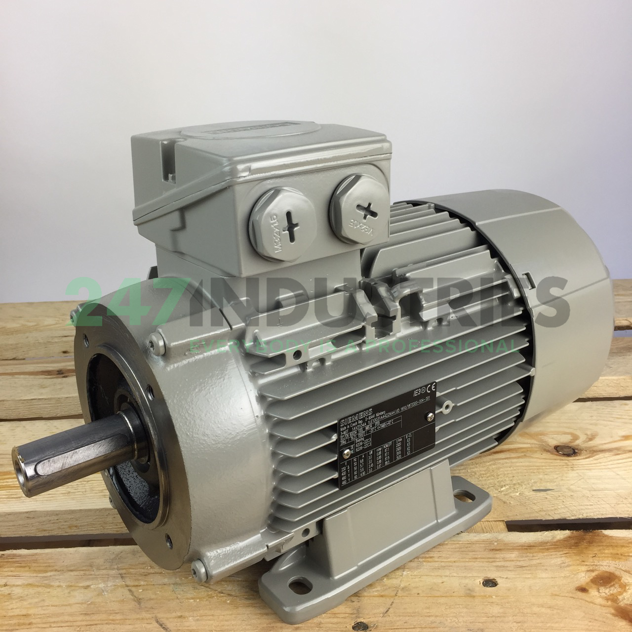 1LE1003-1AA42-2NA4 Siemens