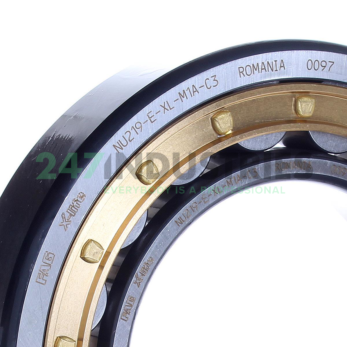 NU219-E-XL-M1A-C3 FAG Image 2