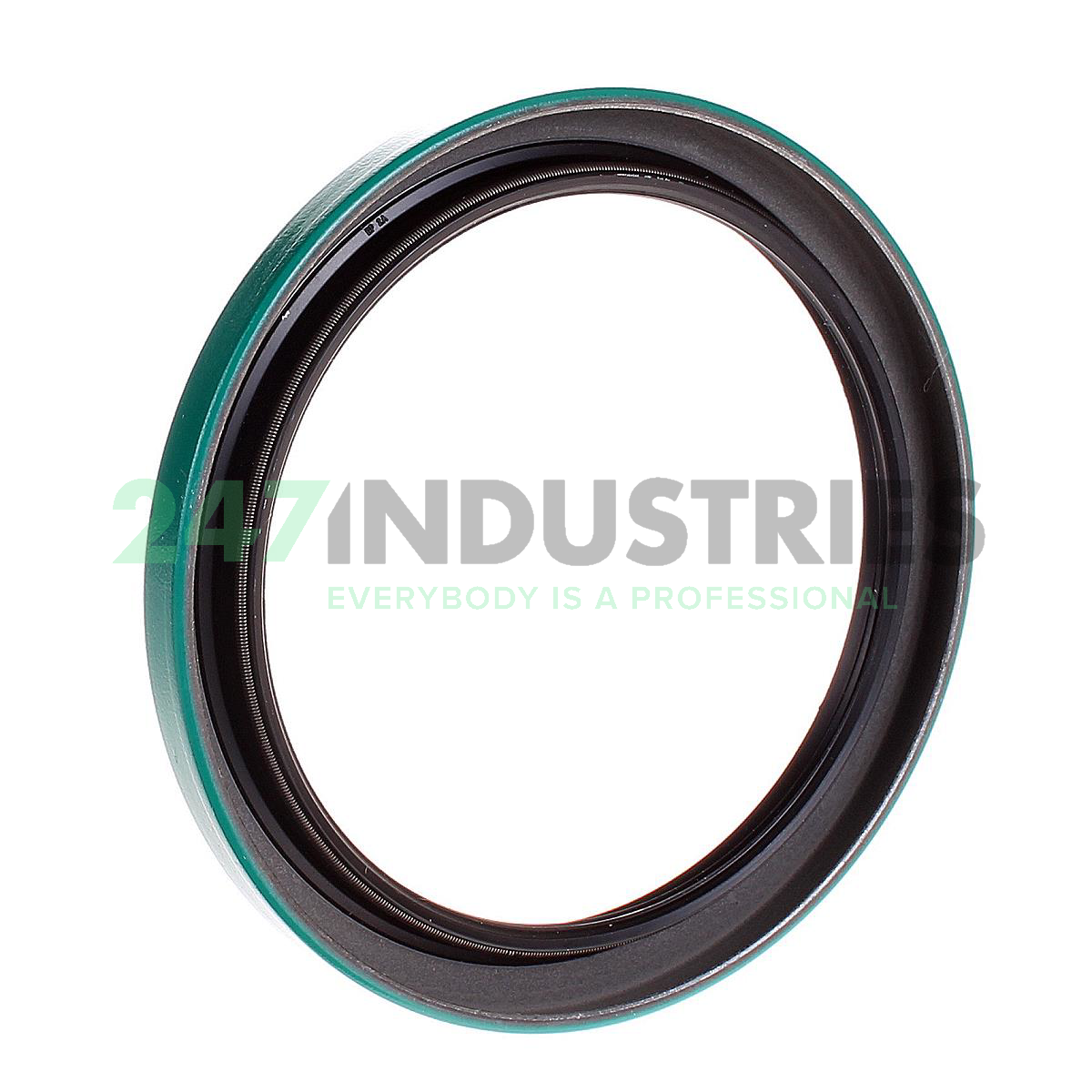 34861 SKF