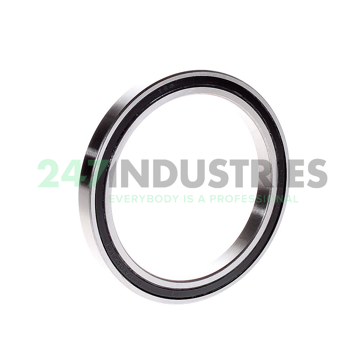 61815 2RS ISB Image 2