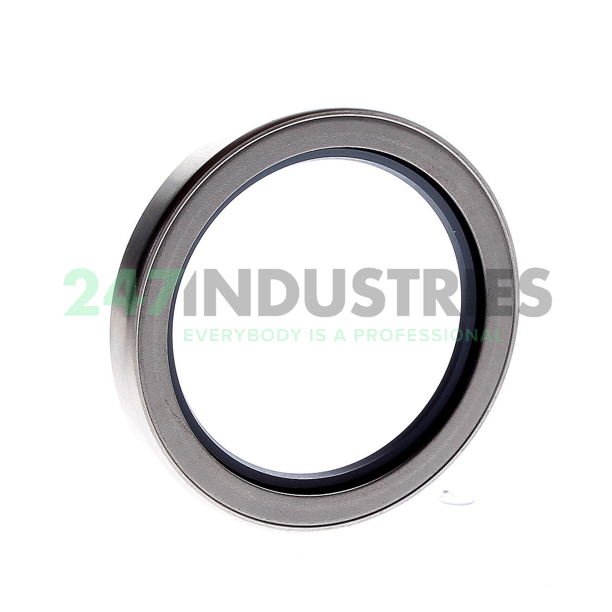 CR64X85X10CRSH13R SKF Image 1