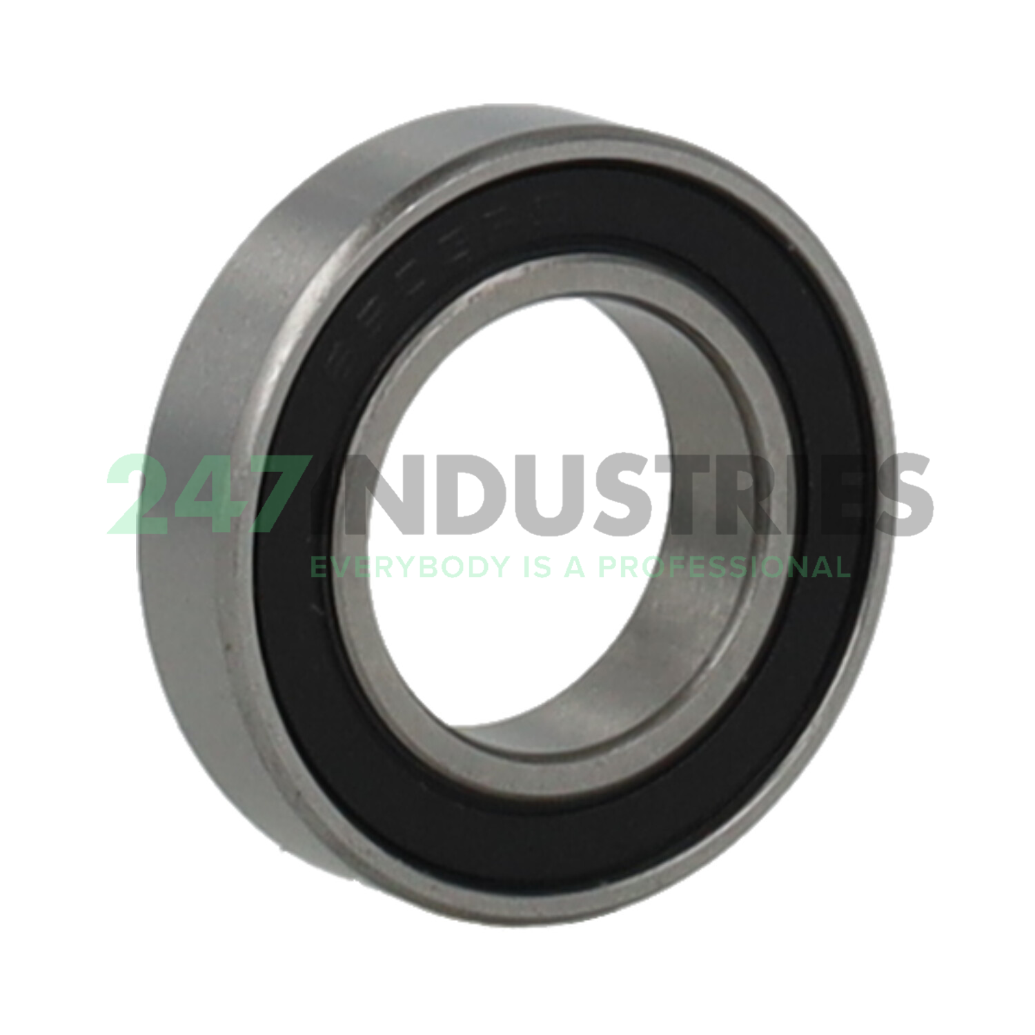 61903-2RS1 AKN