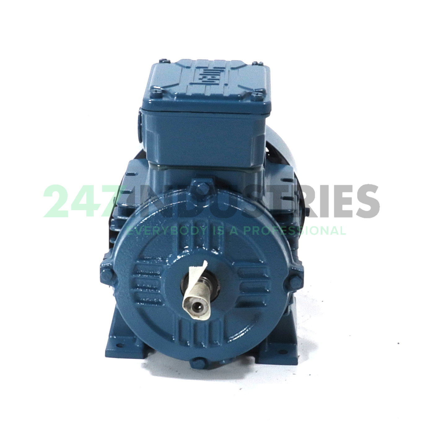 0.25K31AL3714B3 WEG Image 2