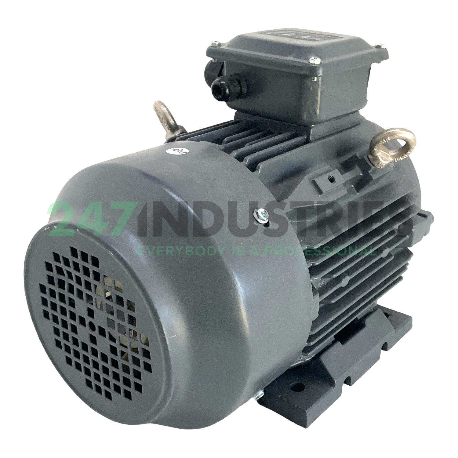 T2CR100L2-4-B3 TechTop Motor Image 3