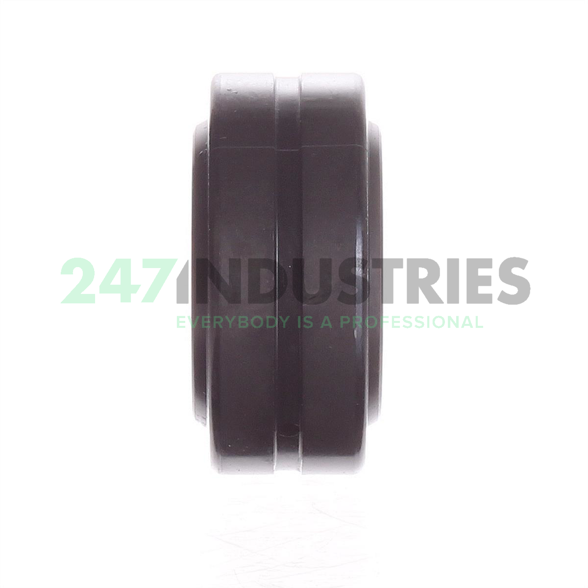 GE30-DO-2RS INA Image 2