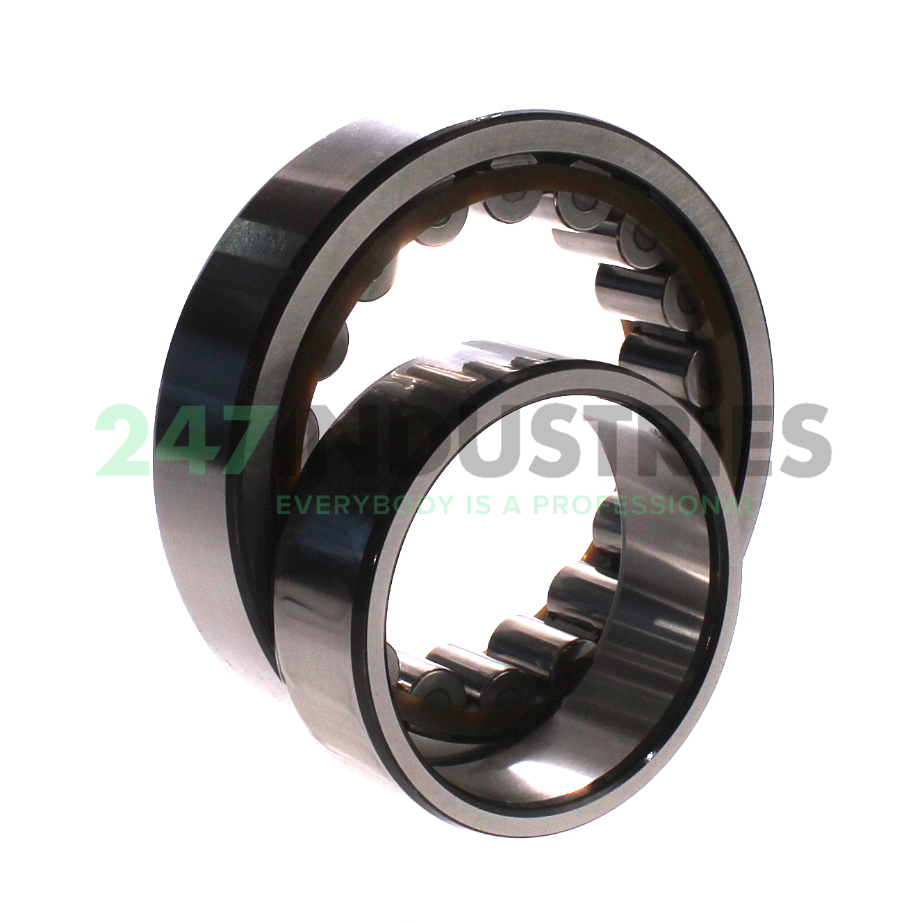 NU313ECJ SKF Image 3