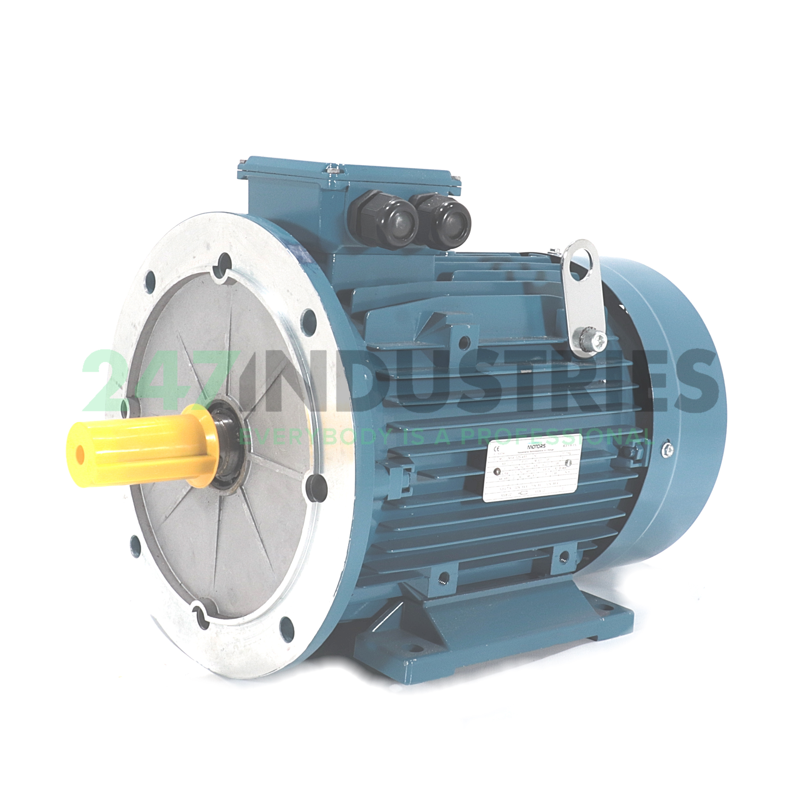 UM3A132S-4B5 Universal Motors