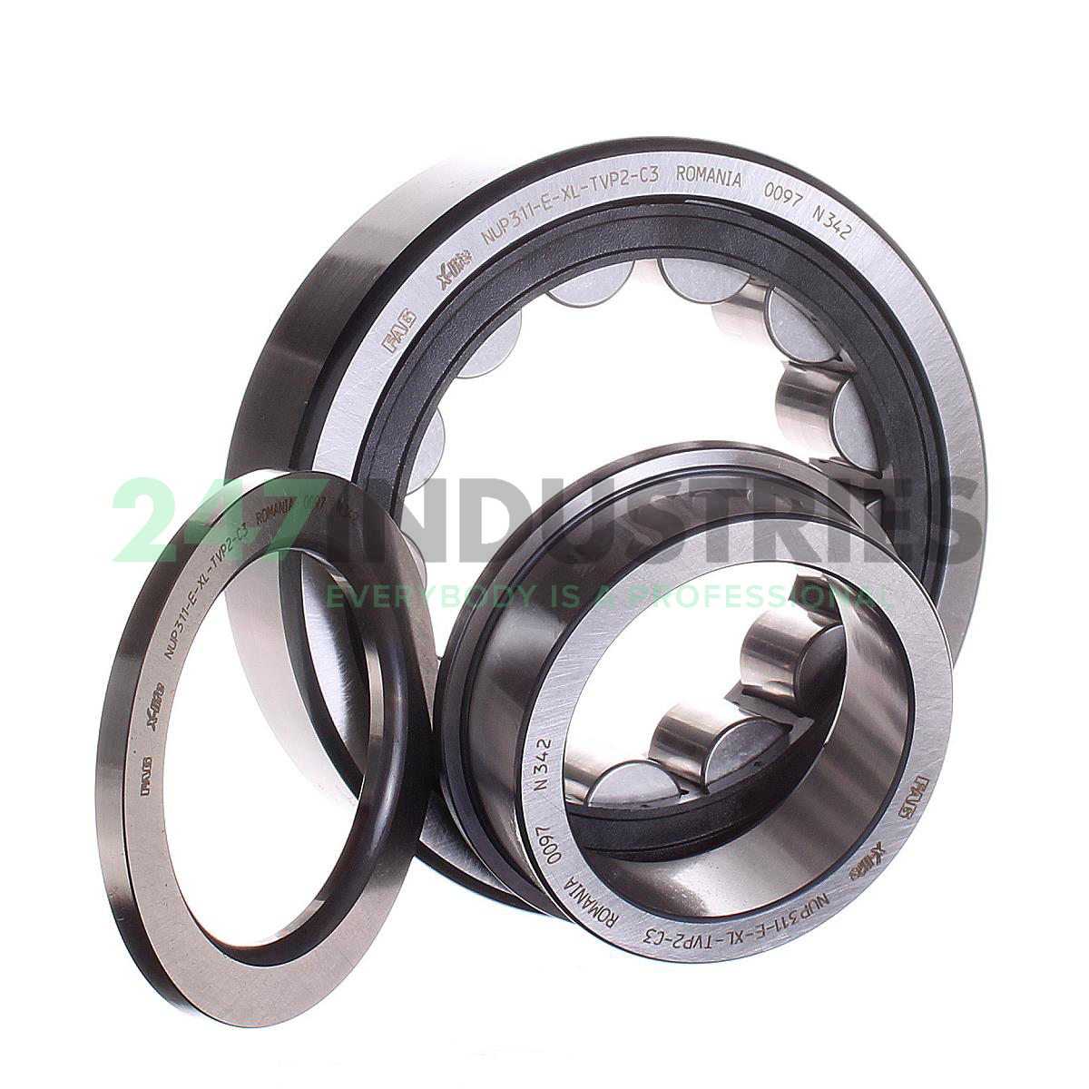 NUP311-E-XL-TVP2-C3 FAG Image 2