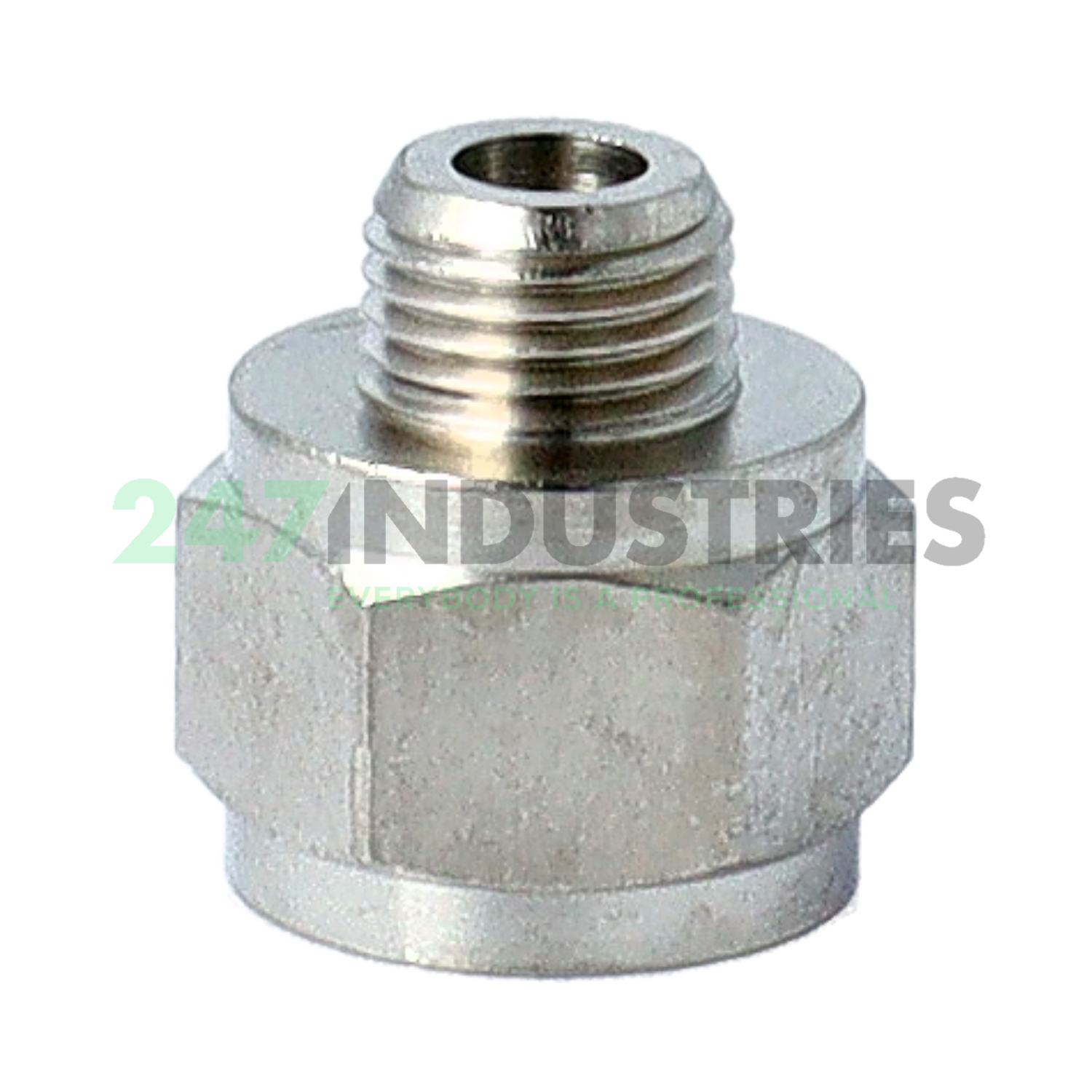 LAPN10X1 SKF