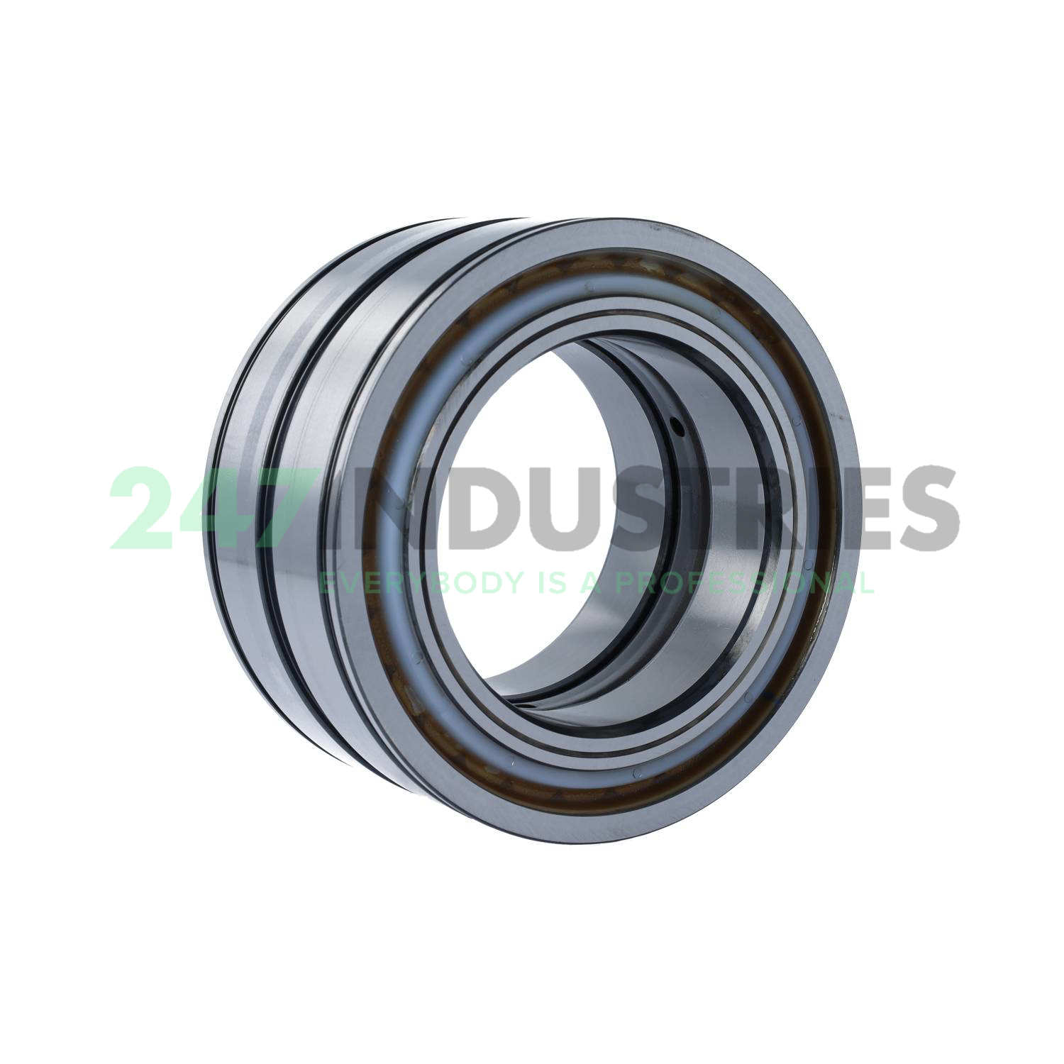 SL04100-D-PP-C3 INA Image 2