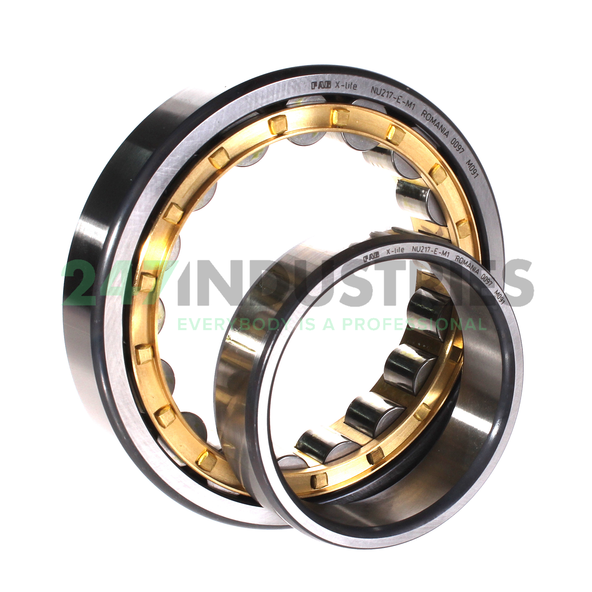NU217-E-M1 FAG Image 3