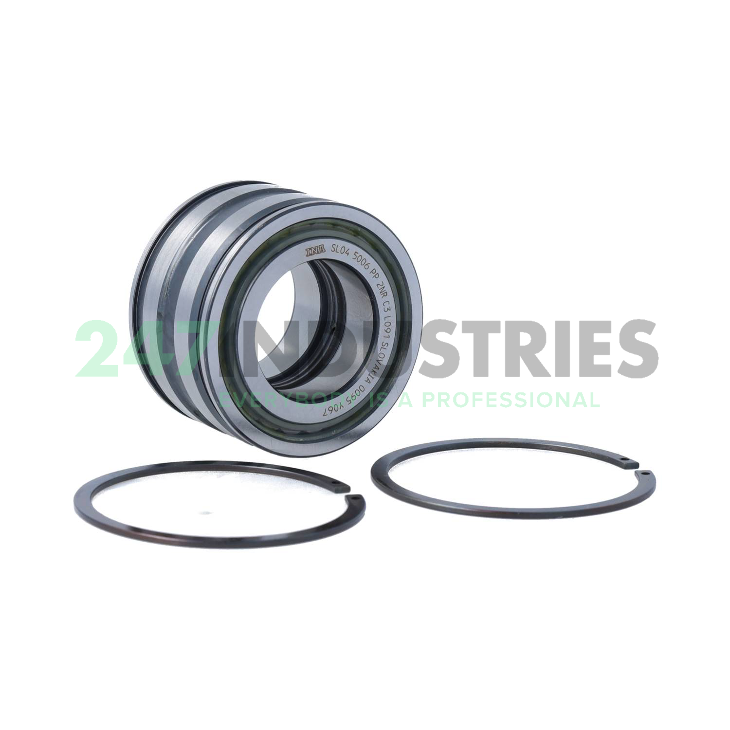 SL045006-PP-2NR-C3-L091 INA