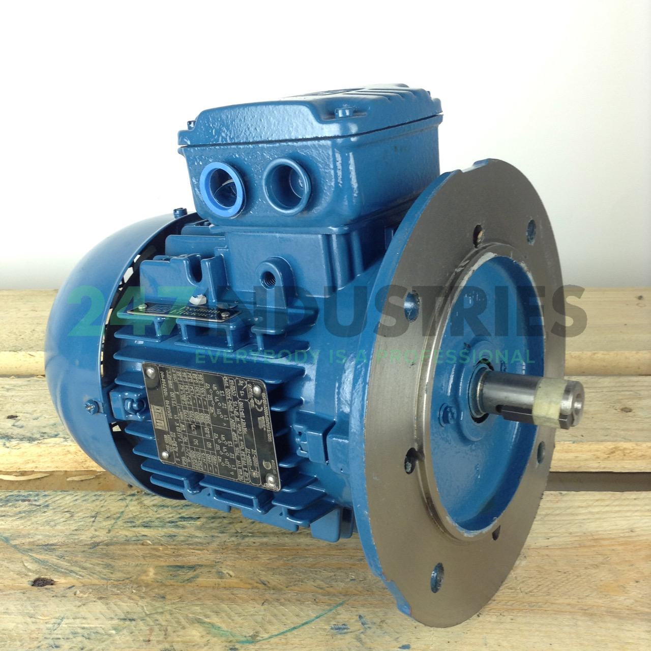 0.75K31AL2802B5 WEG Image 3