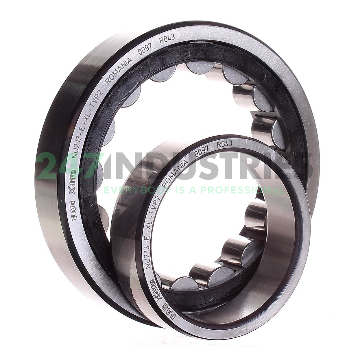 NU213-E-XL-TVP2 FAG Image 3