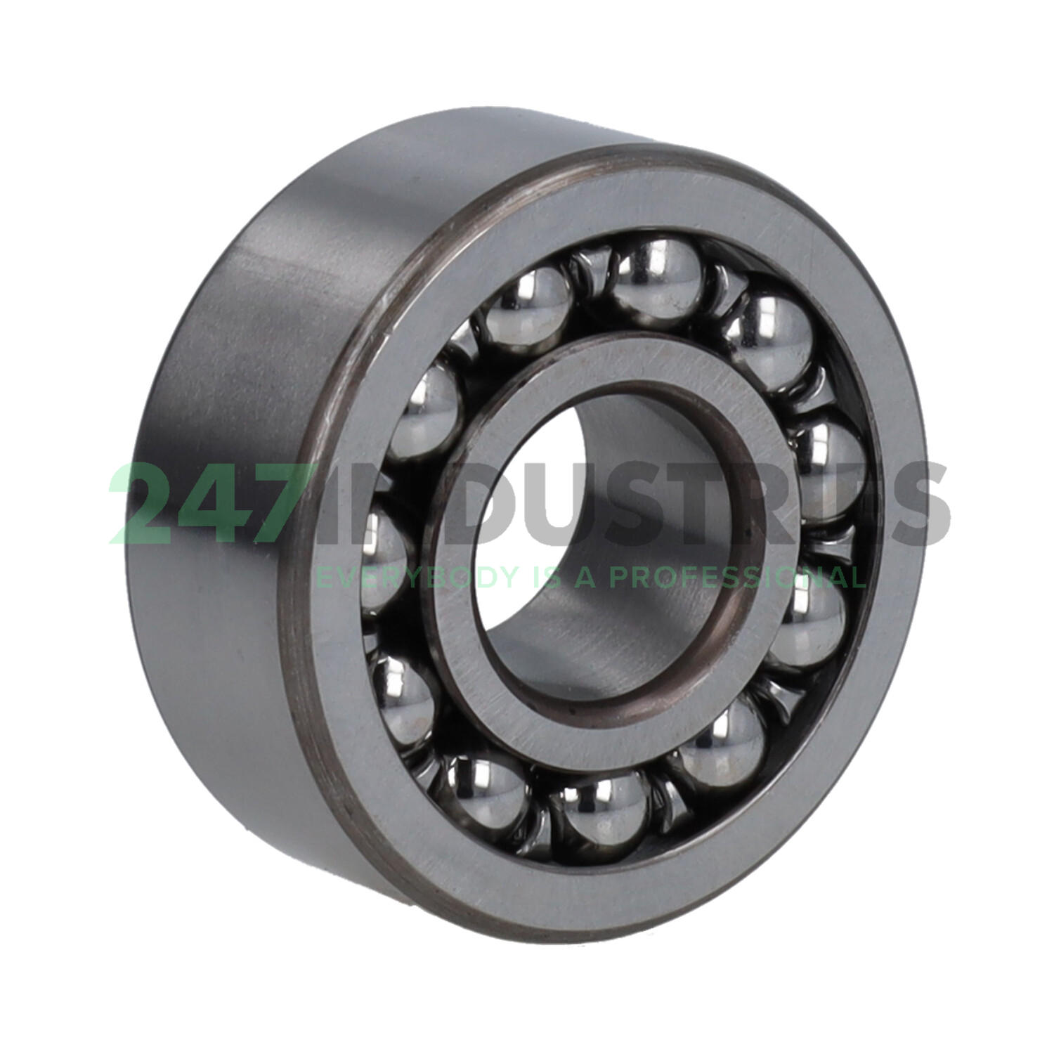 2304J SLF Fraureuth Image 2