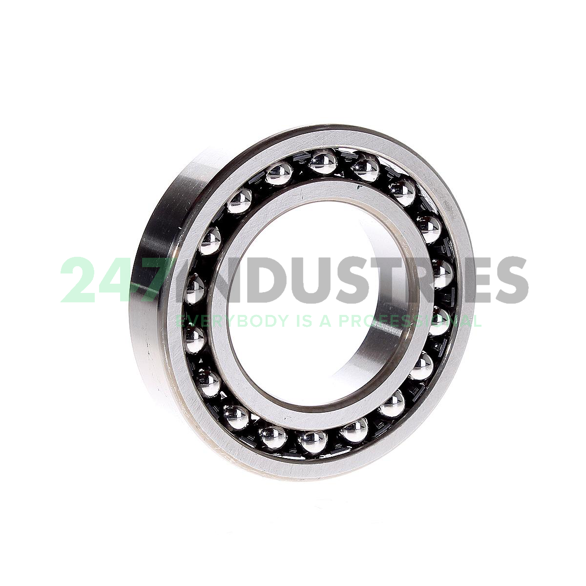1210 NSK Image 3