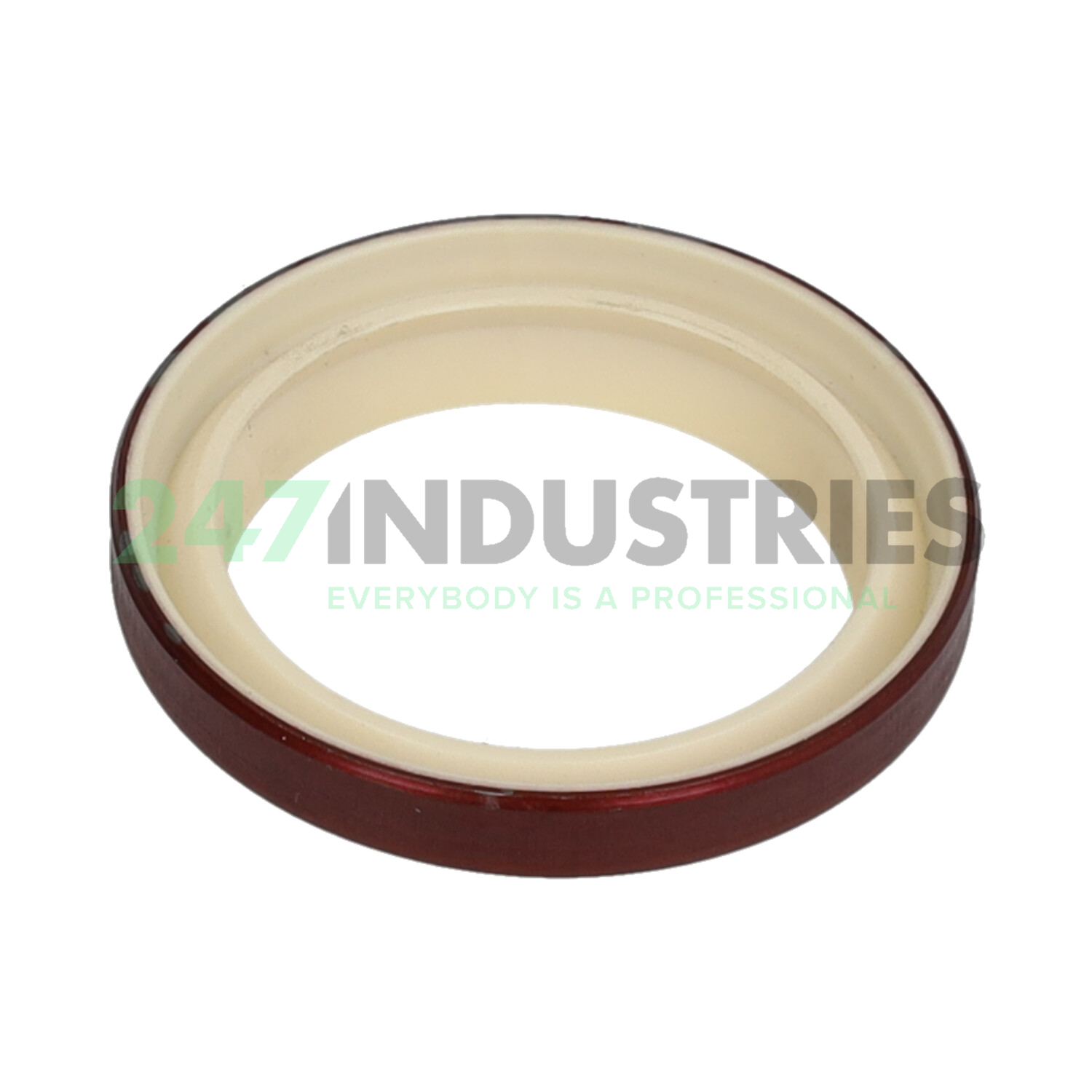 PAD40X52X7X10 SKF Image 2