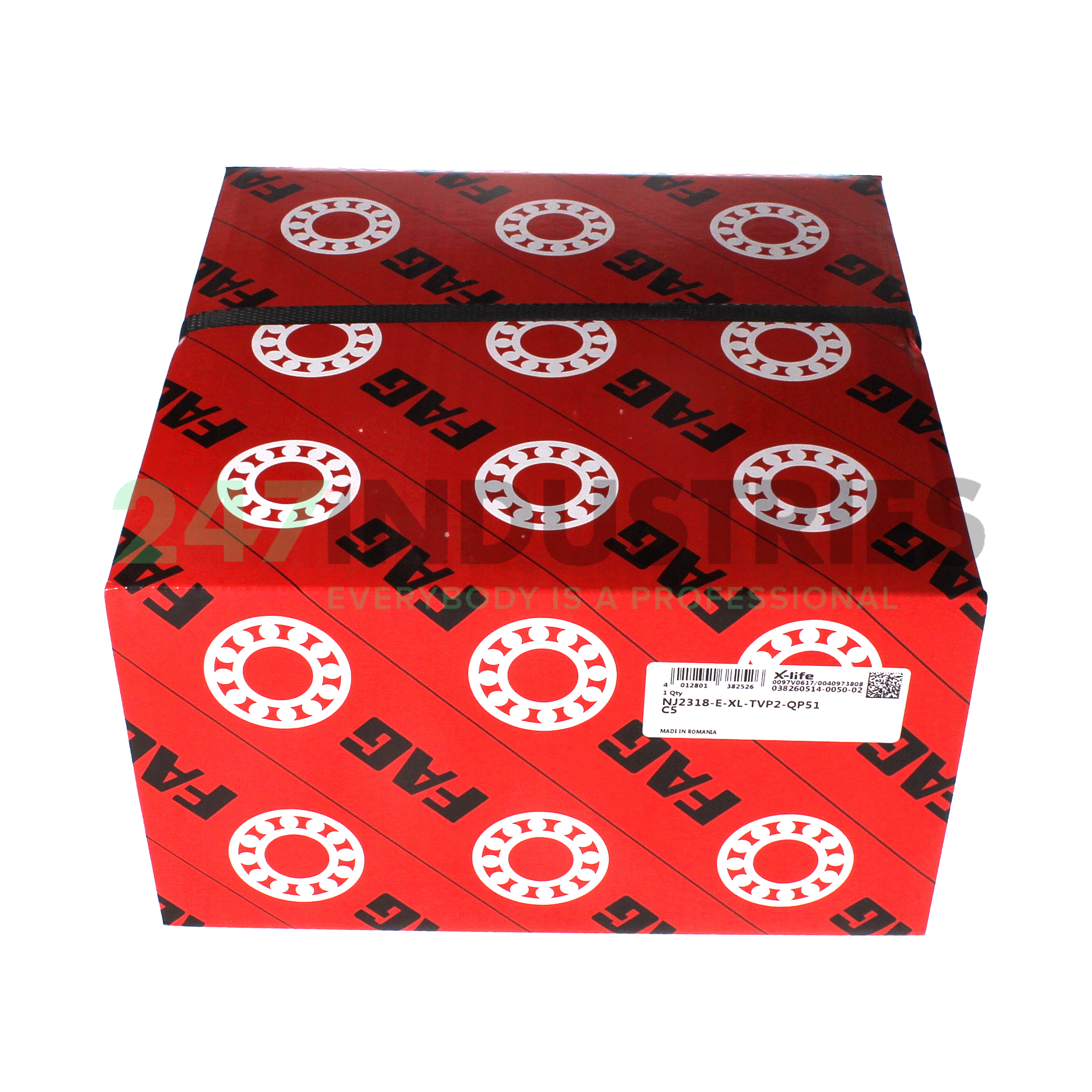 NJ2318-E-XL-TVP2-QP51-C5 FAG Image 4