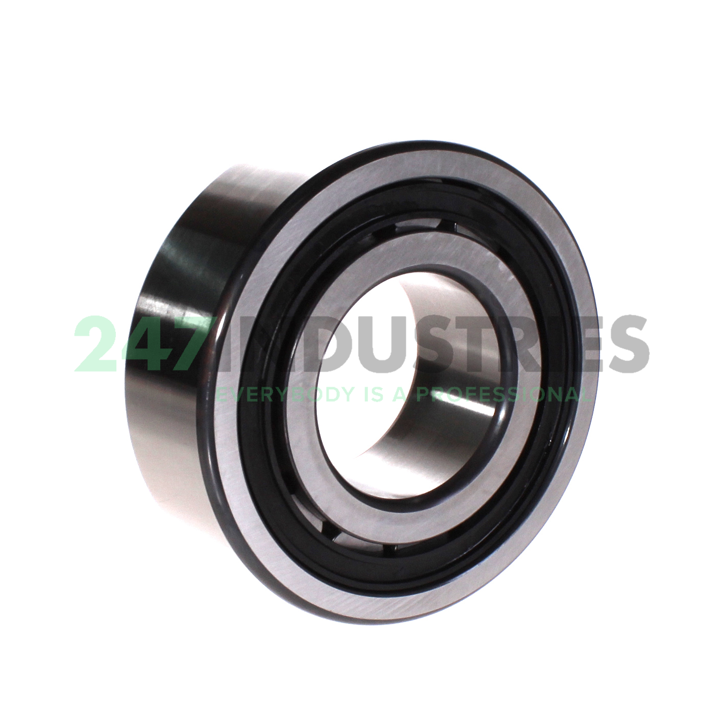 NJ2313-E-TVP2 FAG Image 2