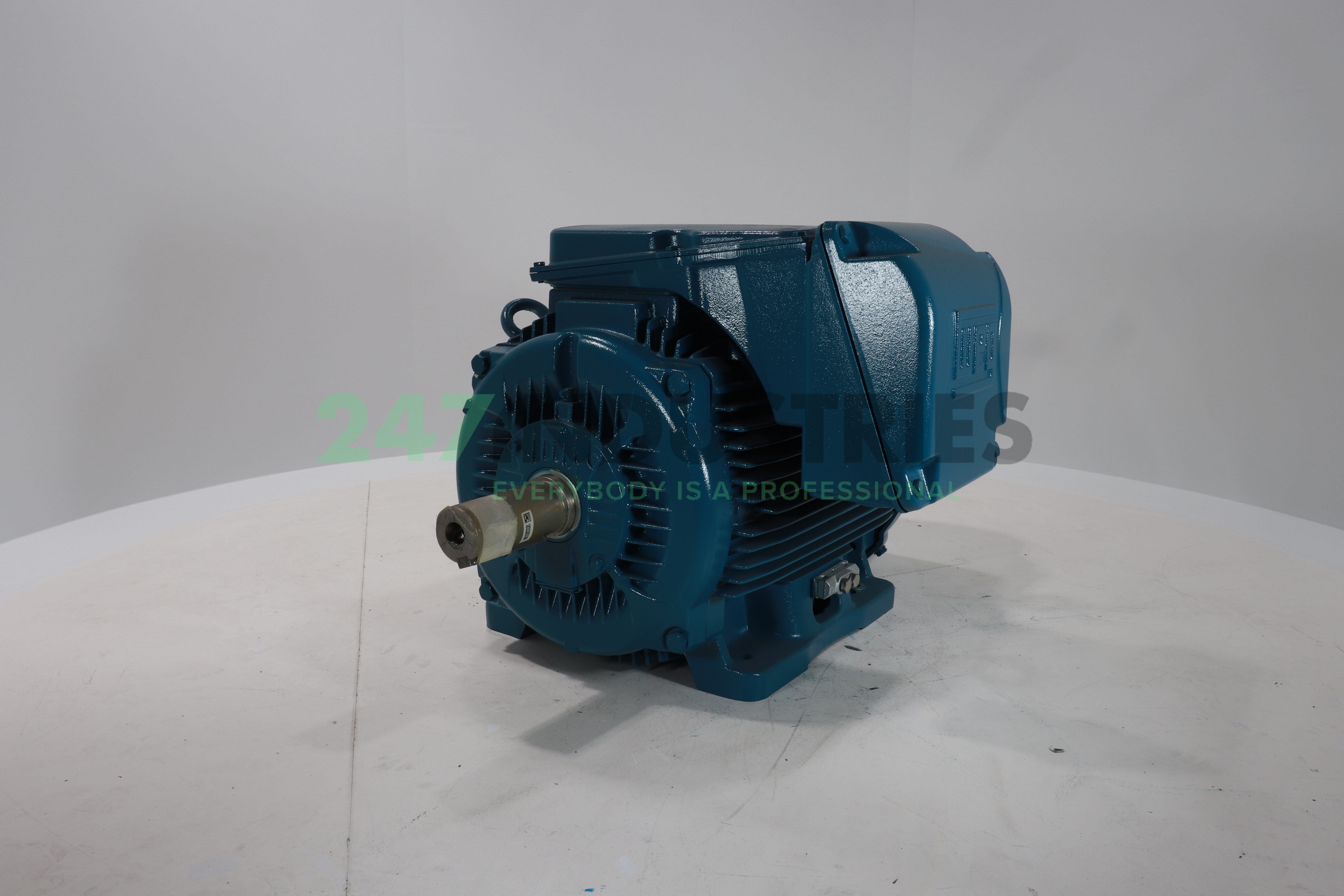 250K32CI2315L2B3 WEG