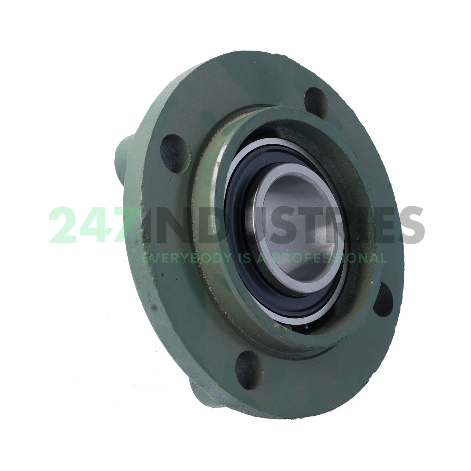 UCFC209-28 FSY Image 2