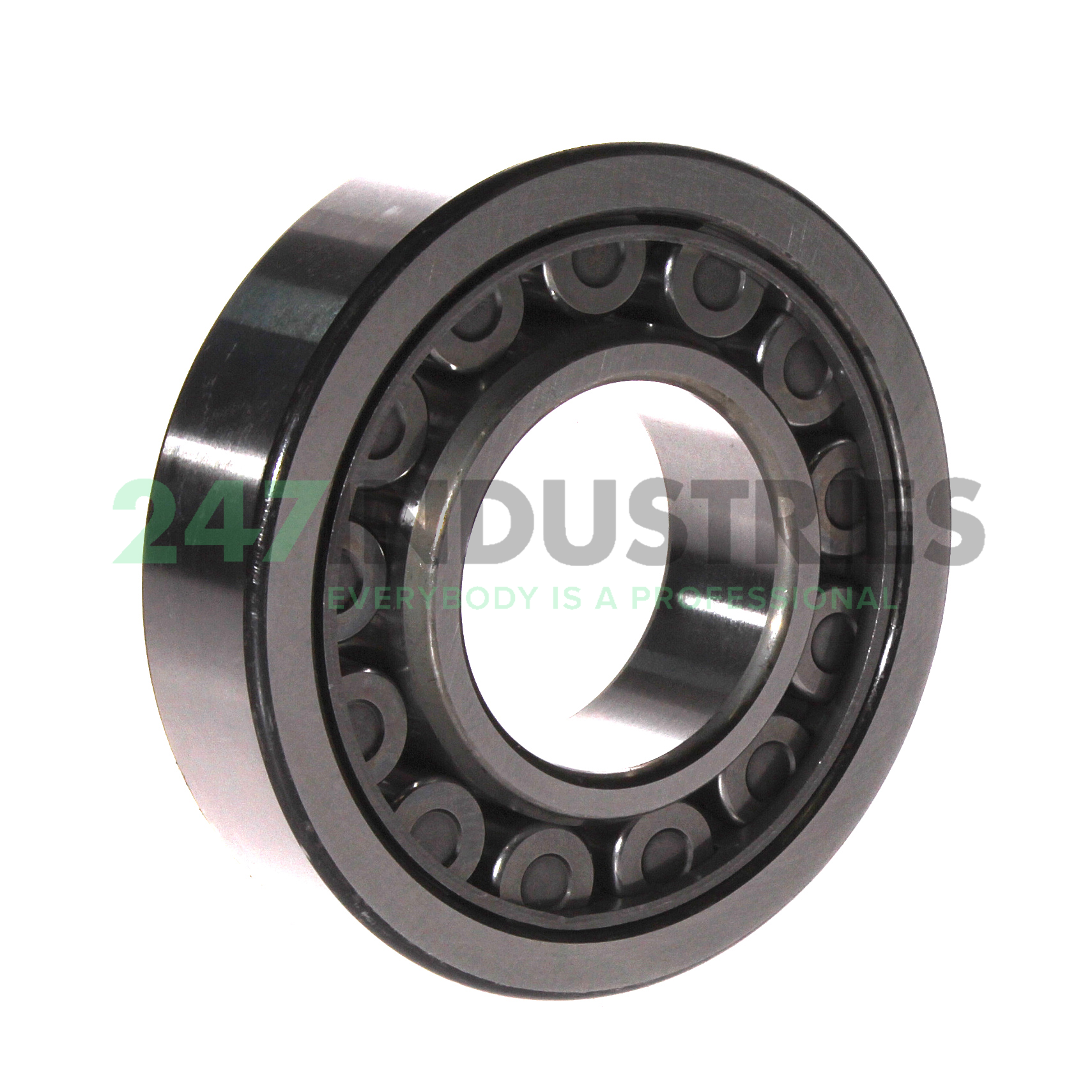 NU309EW C3 NSK Image 3