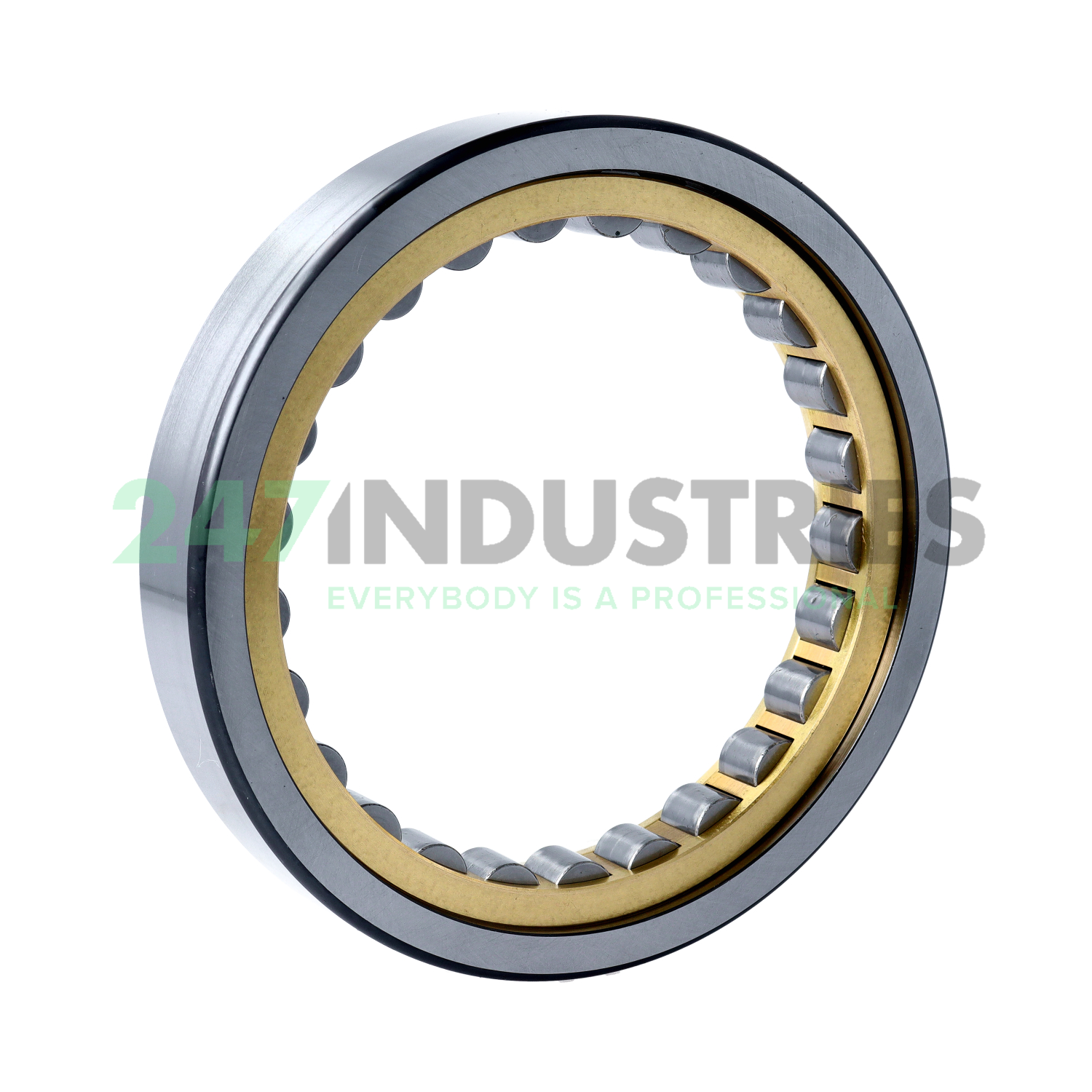 RNU1018-XL-M1A FAG Image 2