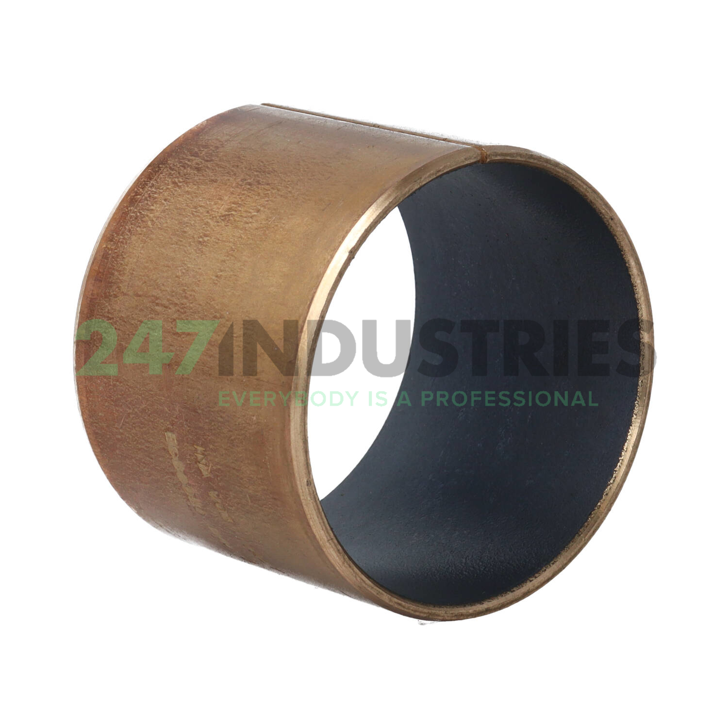 EGB6050-E40-B INA Image 2