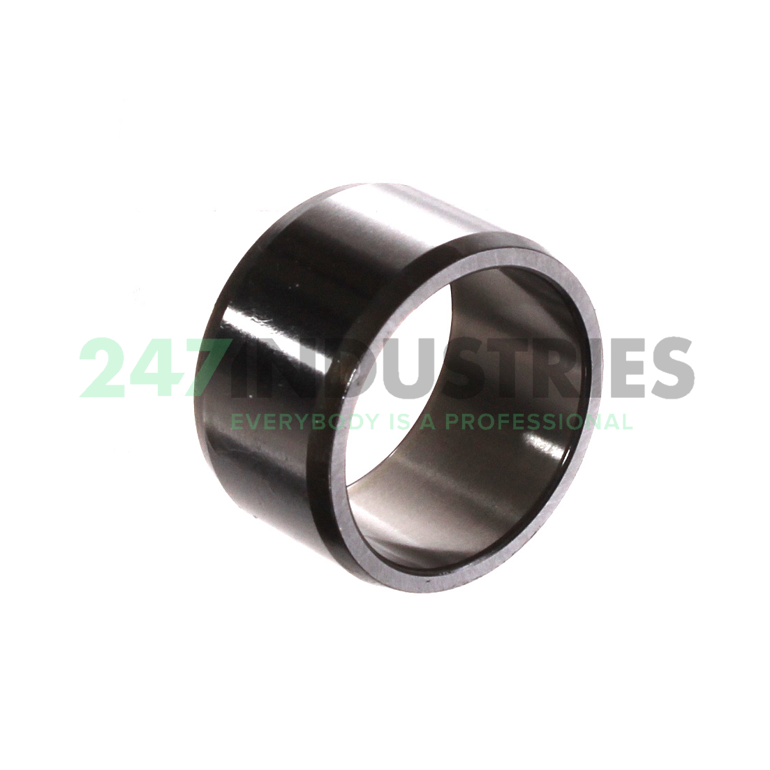 IR25X30X17-EGS INA Image 2