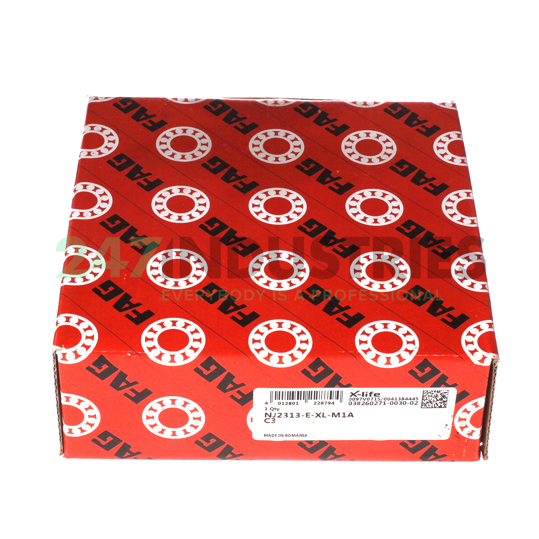 NJ2313-E-XL-M1A-C3 FAG Image 4