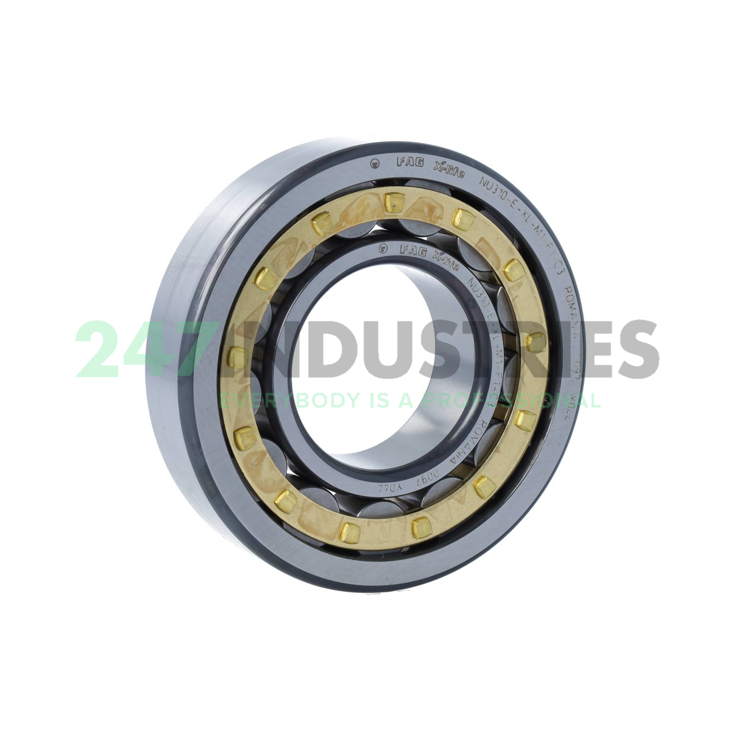 NU310-E-XL-M1-F1-C3 FAG
