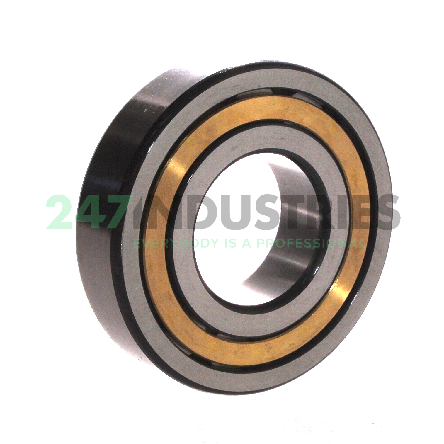 NJ309-E-XL-M1-C3 FAG Image 2