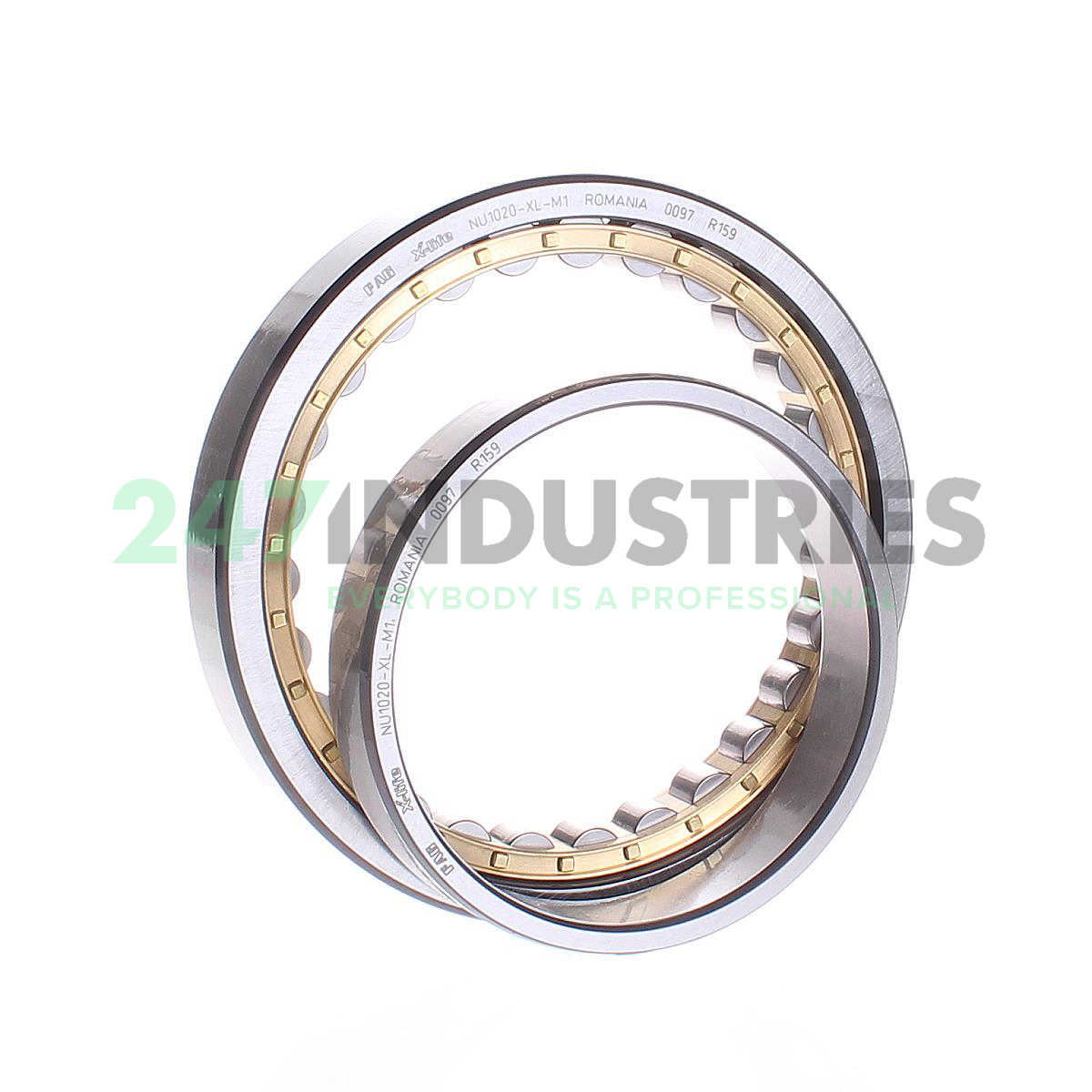 NU1020-XL-M1 FAG Image 2