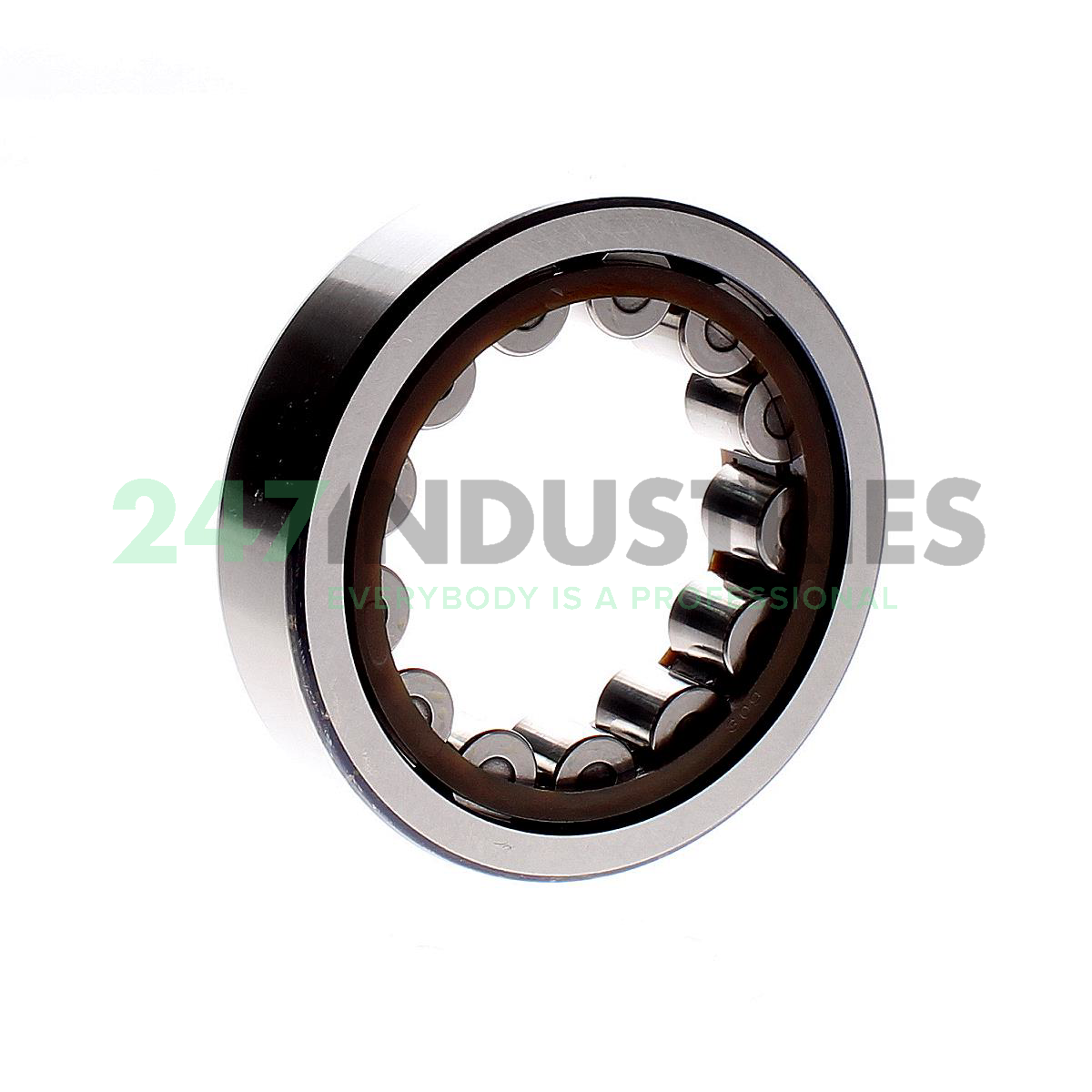 RNU309ECP SKF Image 2