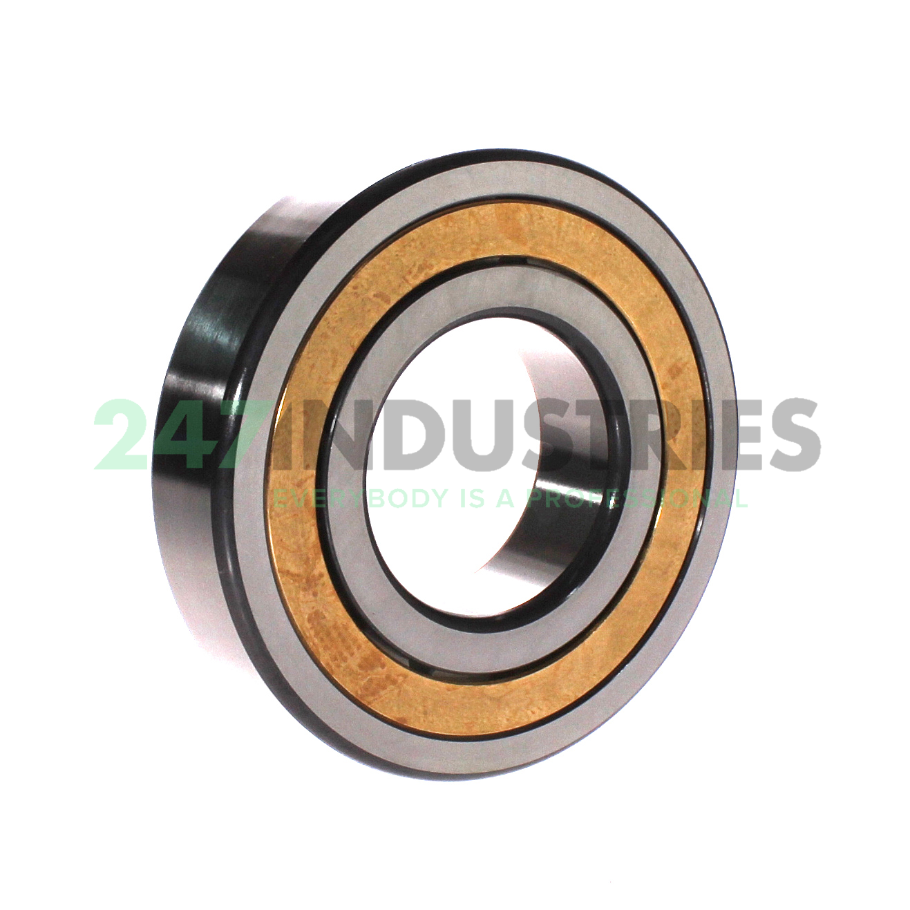 NJ313-E-XL-M1A-C4 FAG Image 2