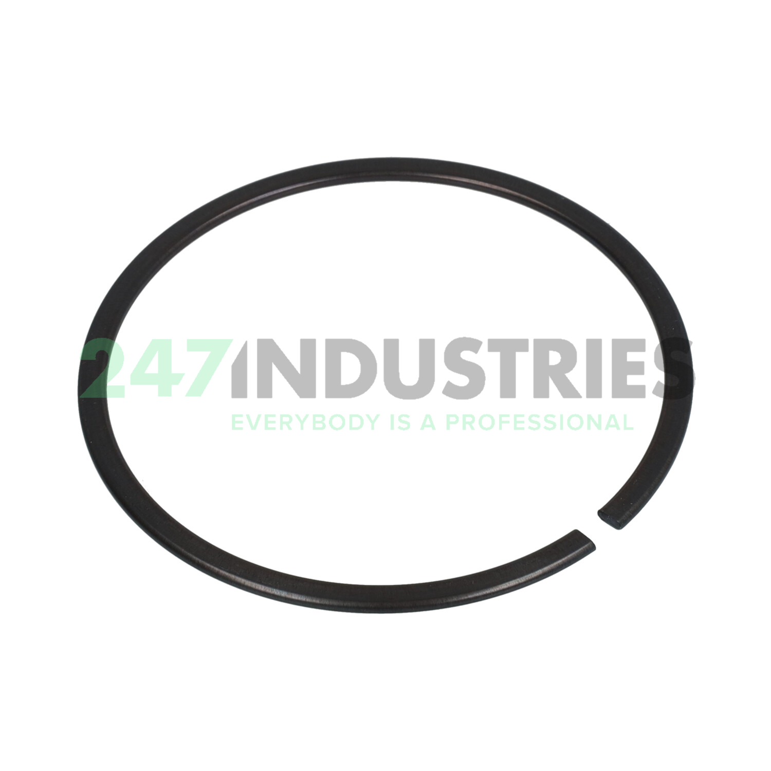 RG DIN5417-SP 95 FAG Image 2