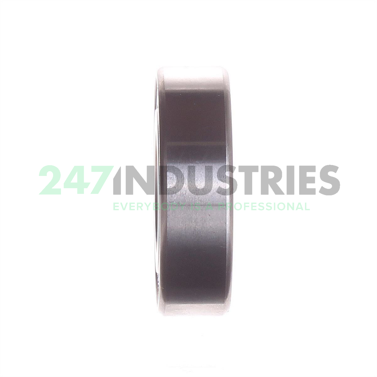 S6004-2RSR-HLC FAG Image 2
