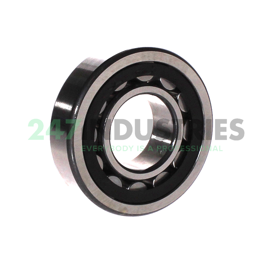 NU307-E-XL-TVP2-C3 FAG Image 2