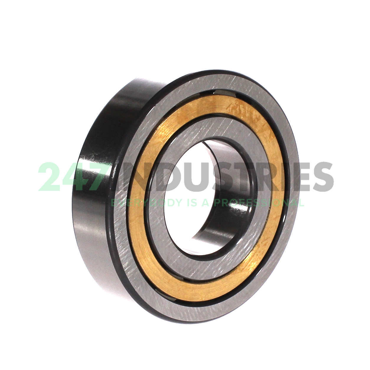 NUP309-E-XL-M1 FAG Image 2