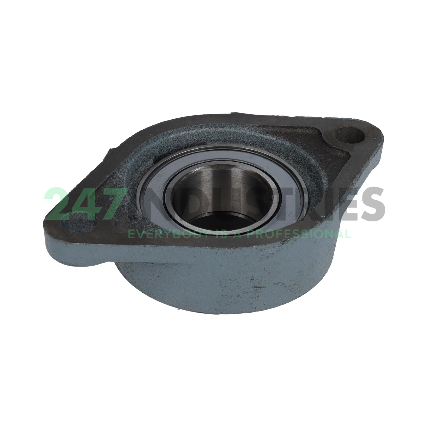 FHFT209 Asahi Image 2