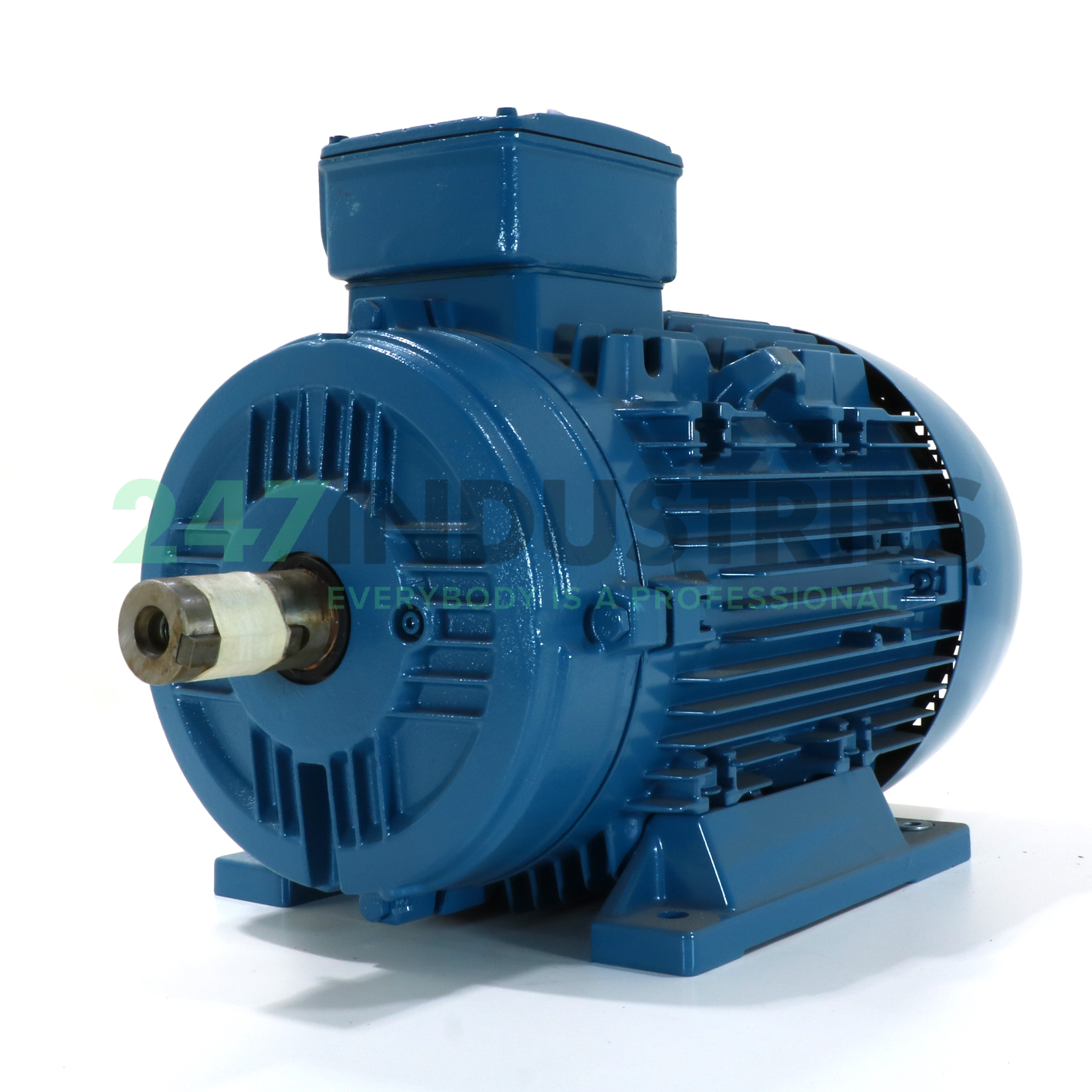 11K32AL3160M/L2B3 WEG