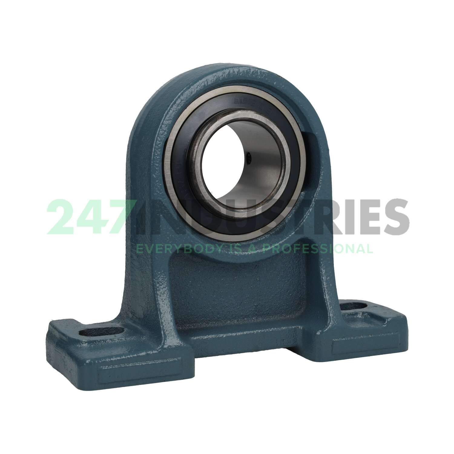 UCPH209 Asahi Image 2