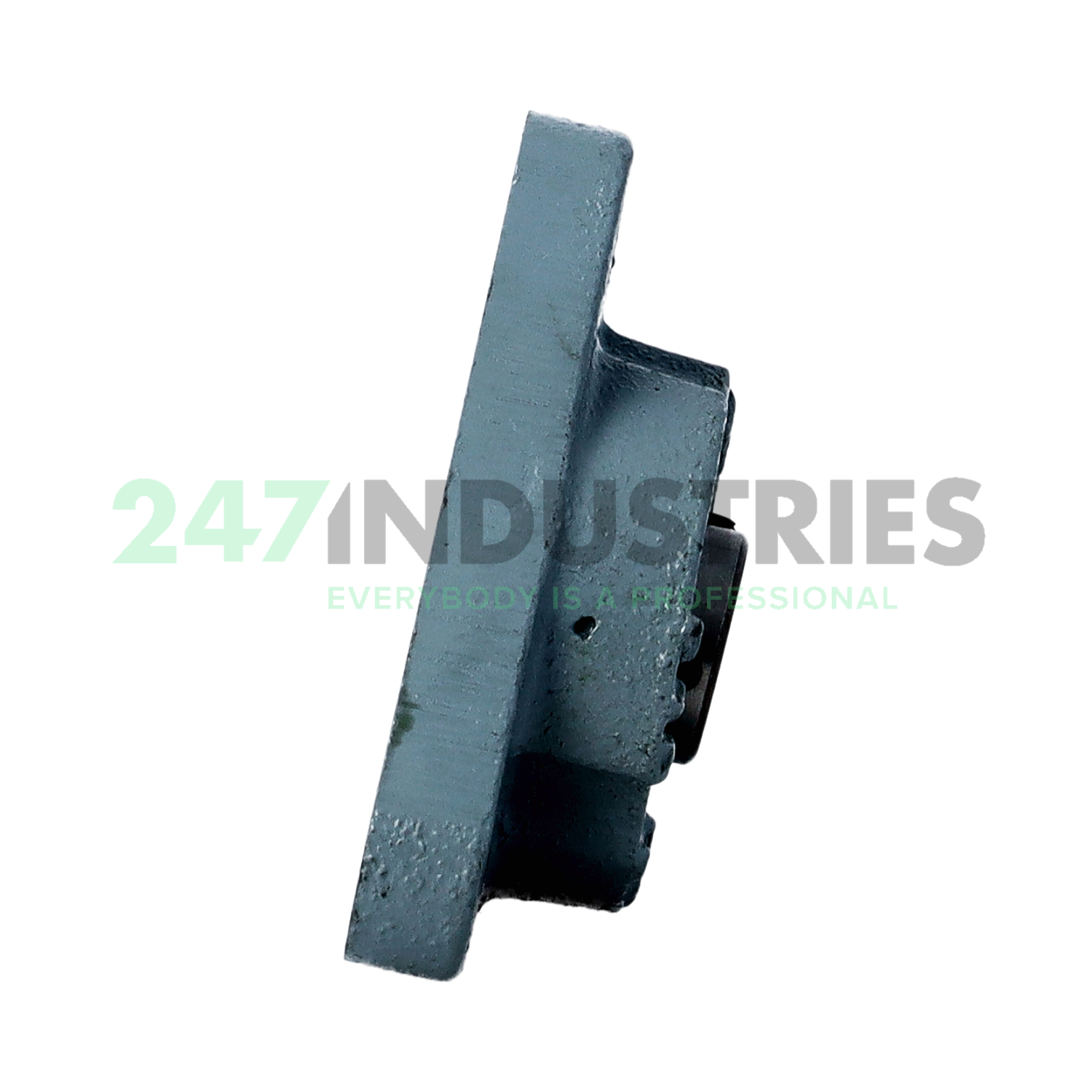 UCFTA202 Asahi Image 2