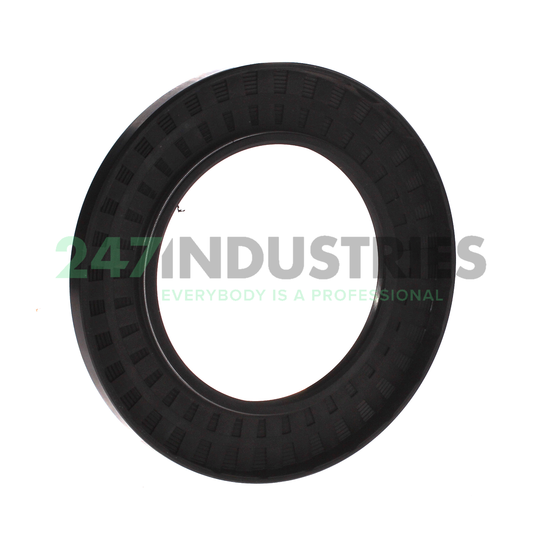 TC100X160X13 SOG Image 2