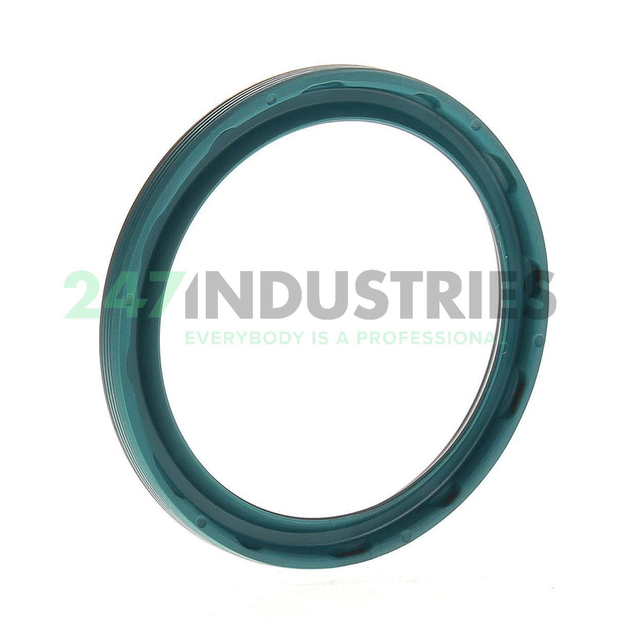 G42X52X4B INA Image 2