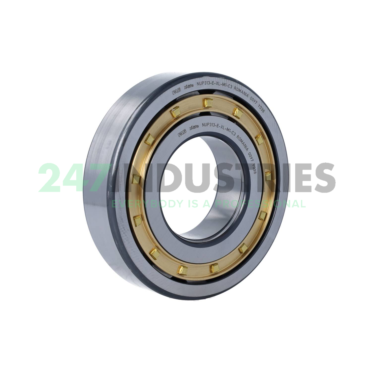 NUP313-E-XL-M1-C3 FAG Image 2