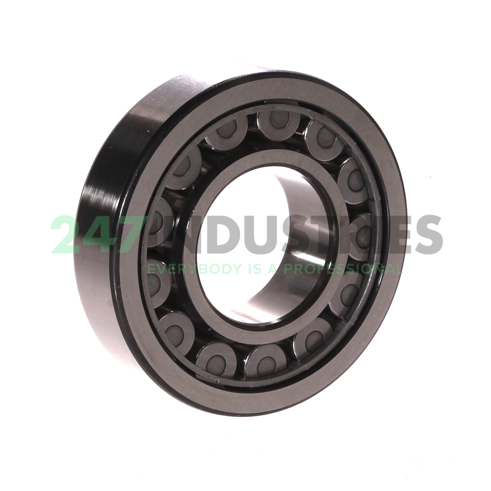 NJ309ECJ SKF Image 2