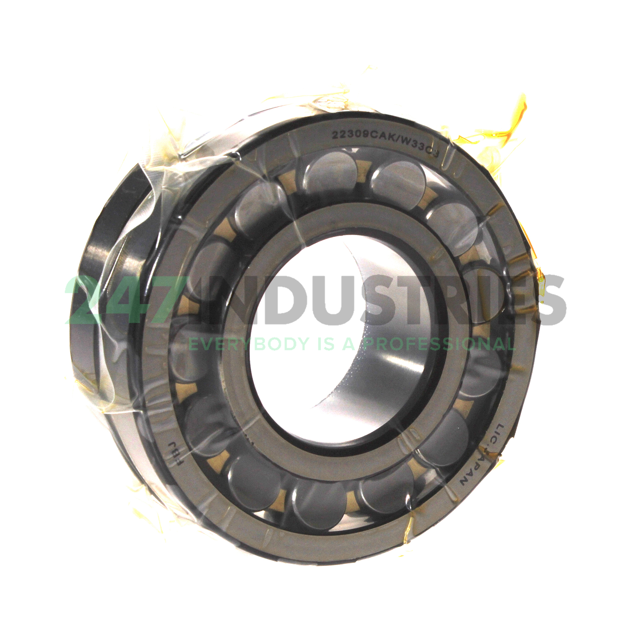 22309CAK W33 C3 FBJ