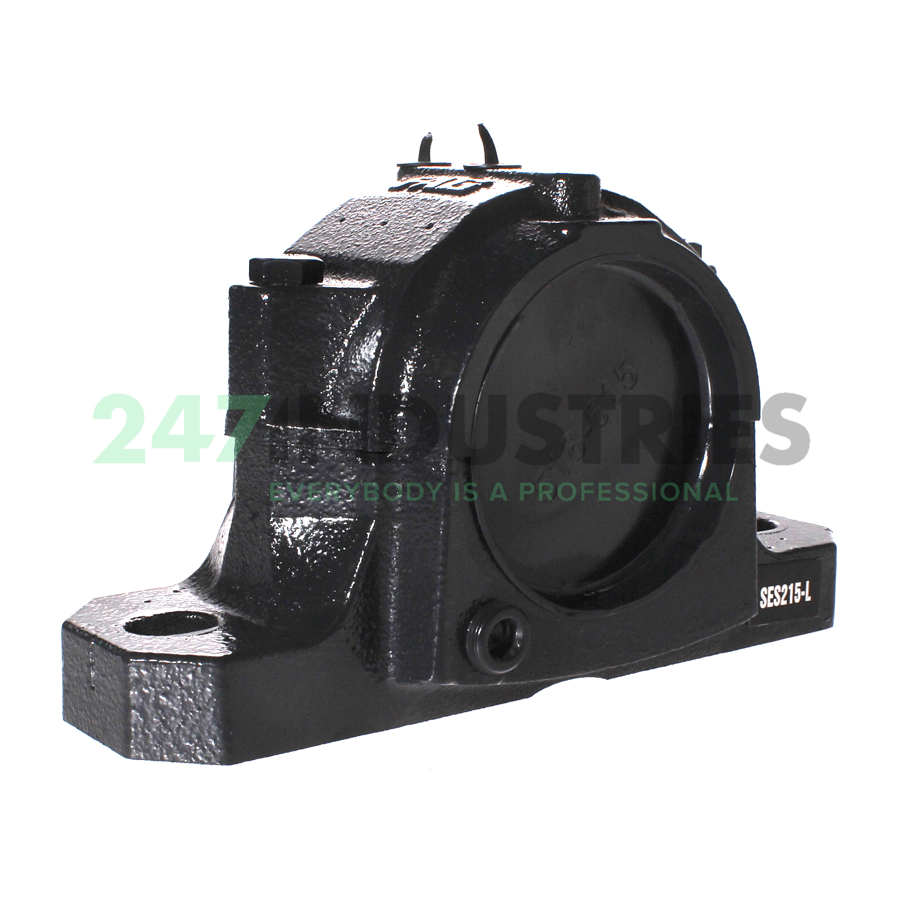 SES215-L FAG Image 2