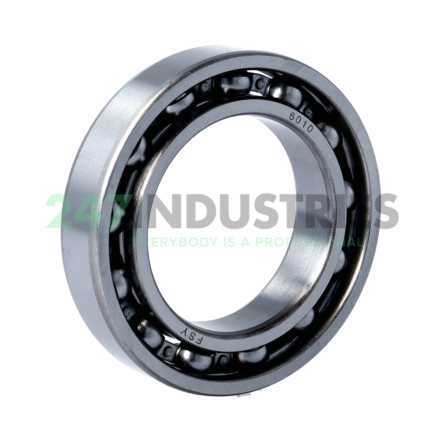 6010 FSY Image 1